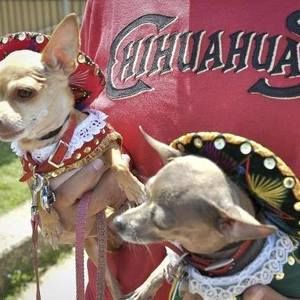 Meet your Posher, Reginald